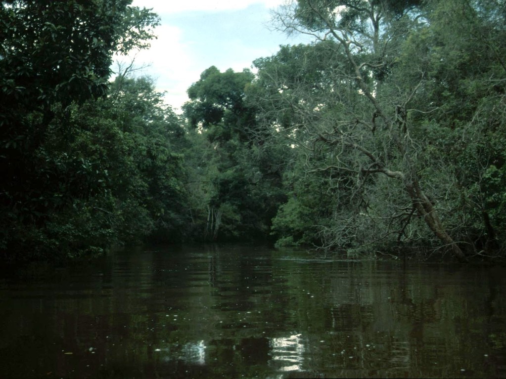 Bei unserer ersten Reise gab es noch große Bäume entlang des Flusses, die wurden inzwischen alle gefällt.