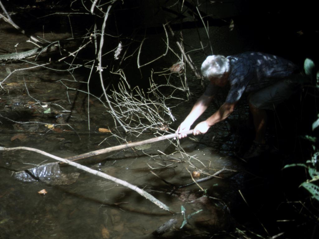 Obwohl der Bach mit Fischen voll war – das Fangen war gar nicht so einfach.