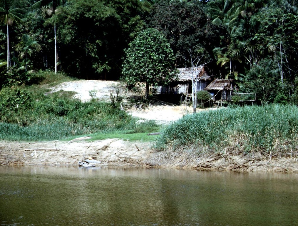 Buen Susesso ist ein Dorf der Yagua-Indios auf der peruanischen Seite des Rio Javarí.