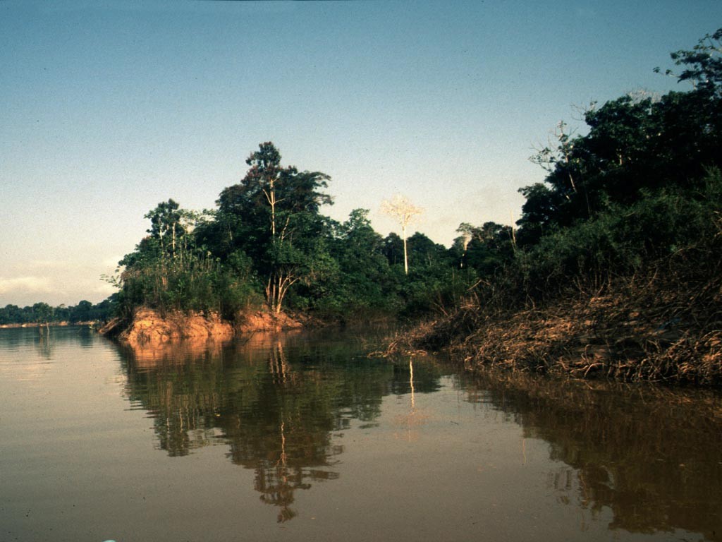 Zum Fangplatz der Caboclos mussten wir einige Kilometer über einen Seitenarm des Rio Itaquai zu einem See fahren.