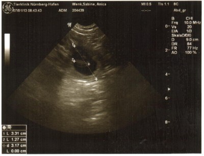 Die ersten Ultraschallbilder von Anica