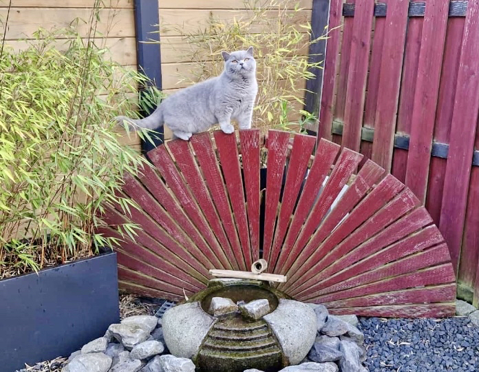 Shiva