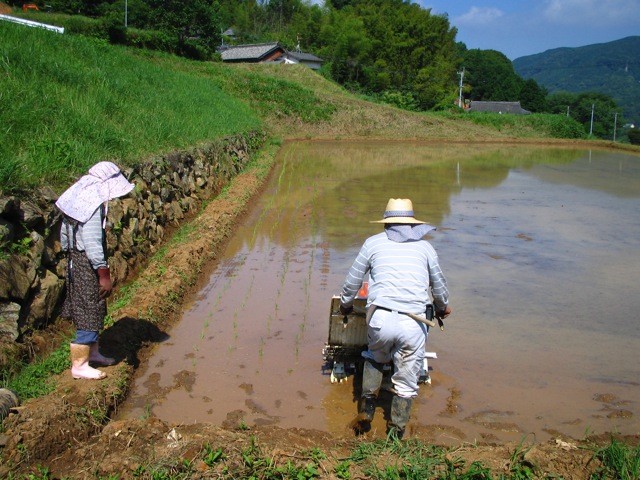 母の、きびしいチェックが入る。