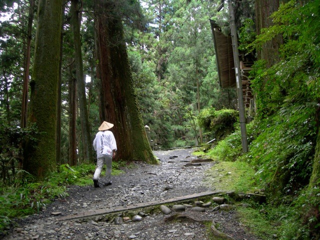 徒歩お遍路では43番、明石寺からの道は、四国最大の難関。　　森閑とした参道が続く。　　　(画像撮影R氏）