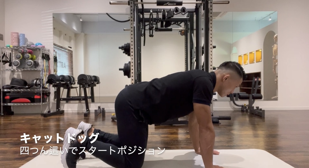 みるみる腰痛改善ストレッチ
