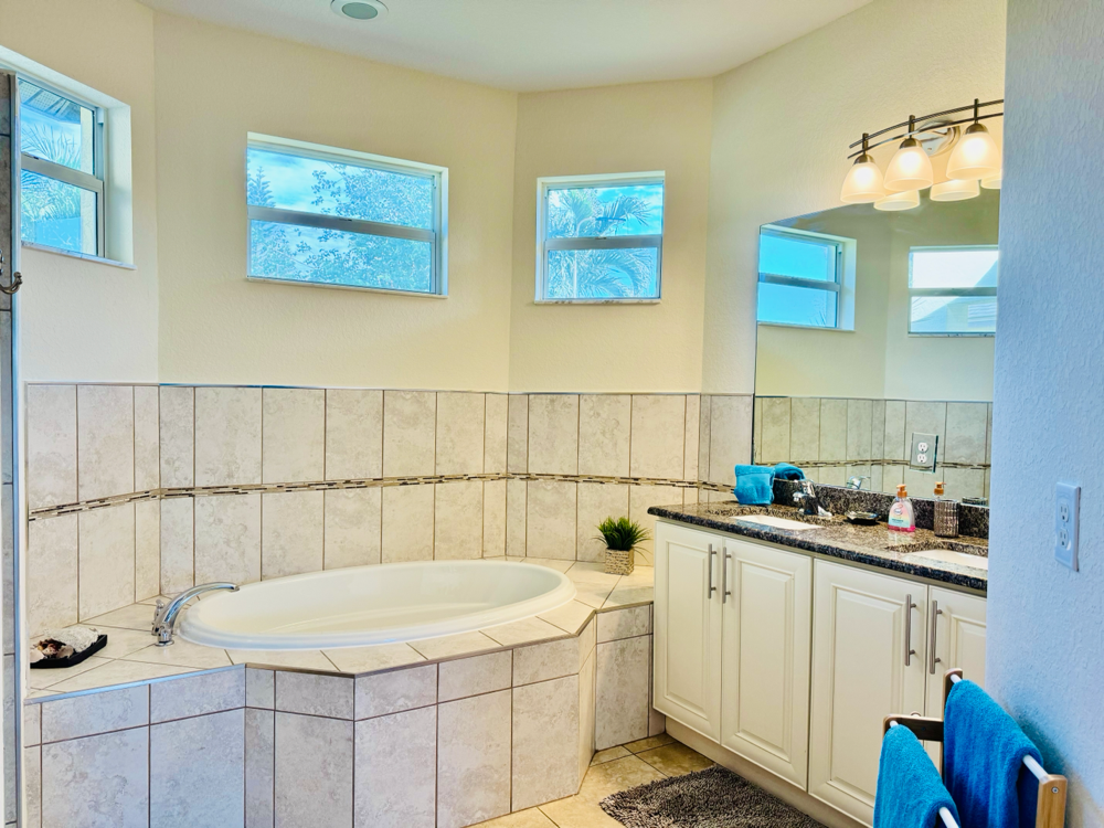 bath tub, shower, granite counter, separate WC, morning sun