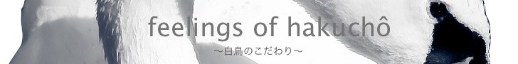 白鳥のこだわり