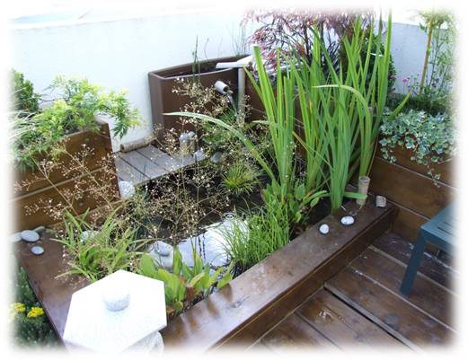 diseño y estudio de jardín - Tienda on line de jardinería | Tienda de