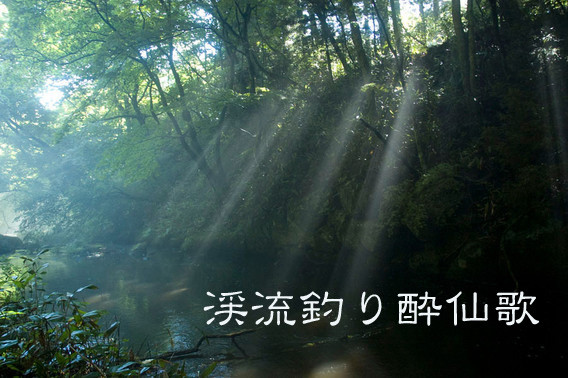 2010年8月 撮影 岩手県和座川の木漏れ日。