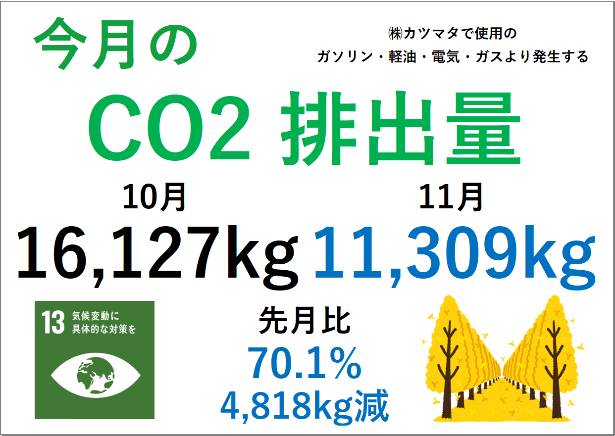 11月のCO2排出量を集計しました