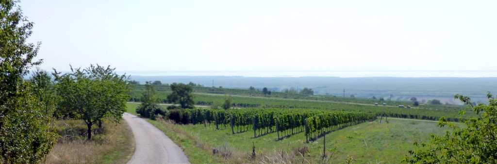 der Neusiedlersee