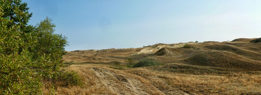 Sanddünen