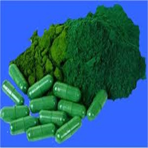 algue alphaone du lac klamath gelules  et vrac poudre Alain Rivera mandataire SynerJ-Health