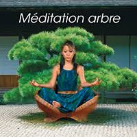 Méditation arbre-  PSIO PROGRAMMES
