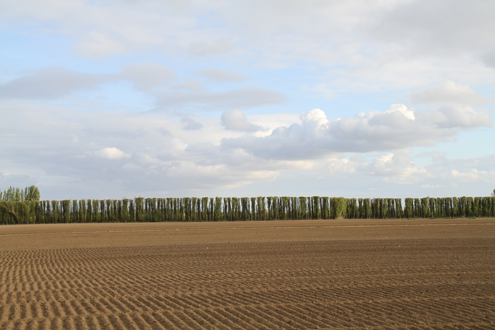 Polder Woensdrecht