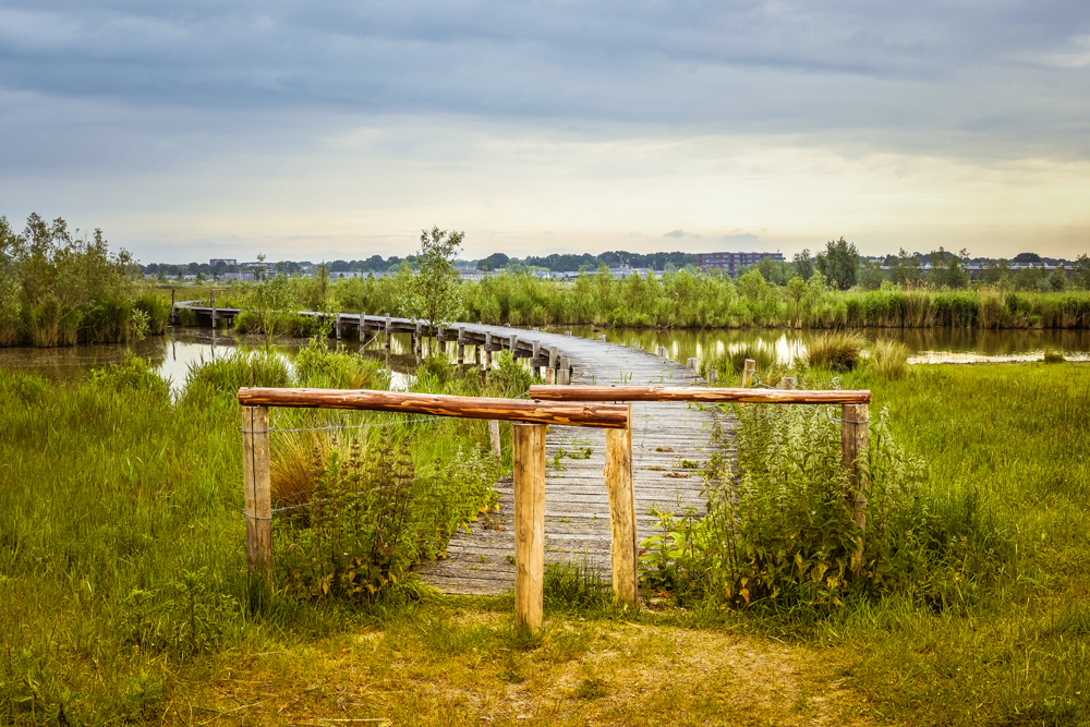 Natuurreservaat Molenplaat Bergen op Zoom