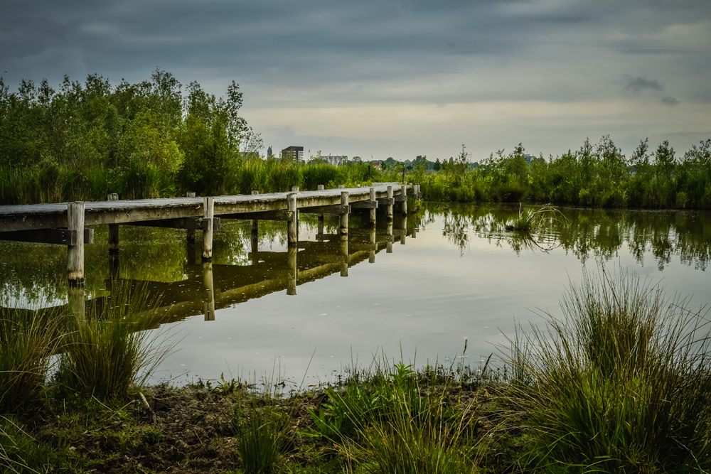 Natuurreservaat Molenplaat Bergen op Zoom