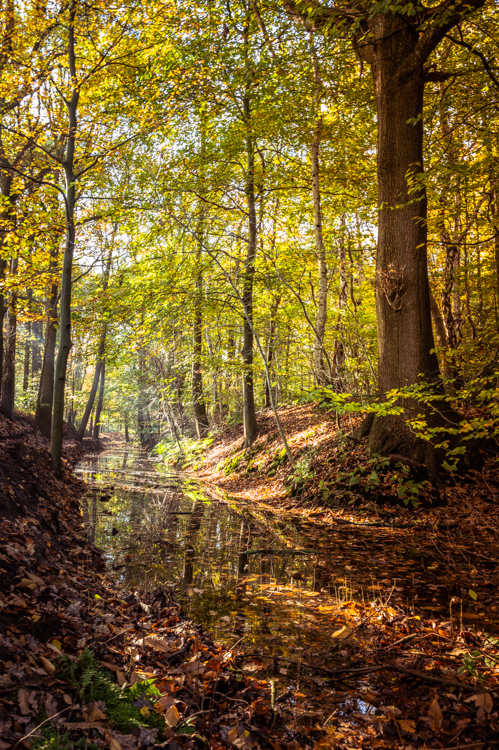 Landgoed Wouwse Plantage