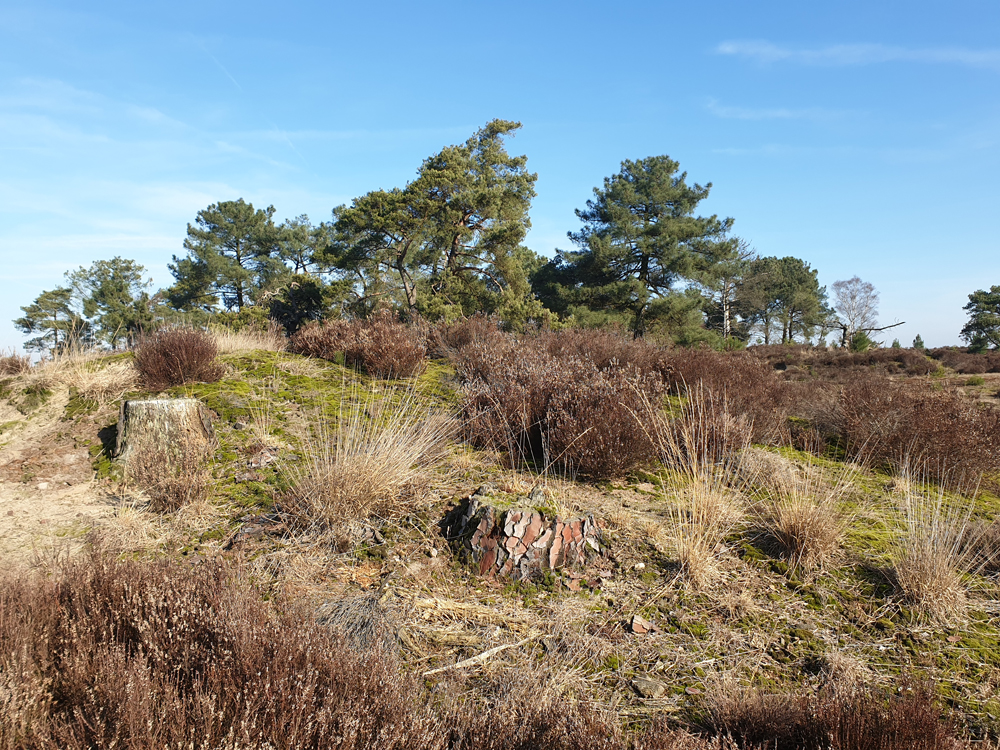 Kalmthoutseheide