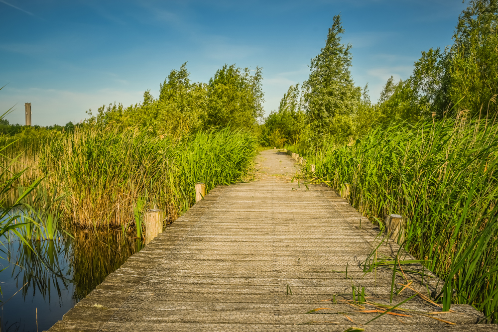 Natuurreservaat Molenplaat Bergen op Zoom