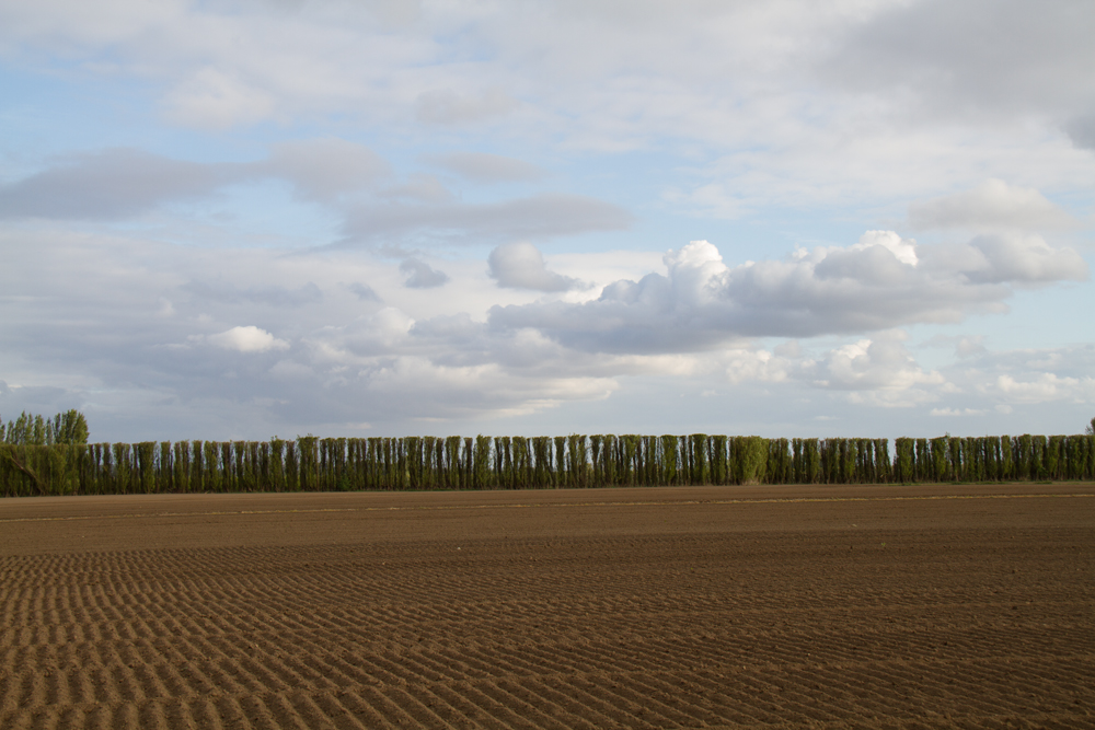 Polder Woensdrecht