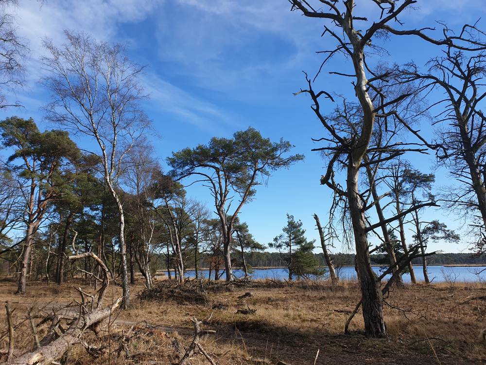 Kalmthoutseheide