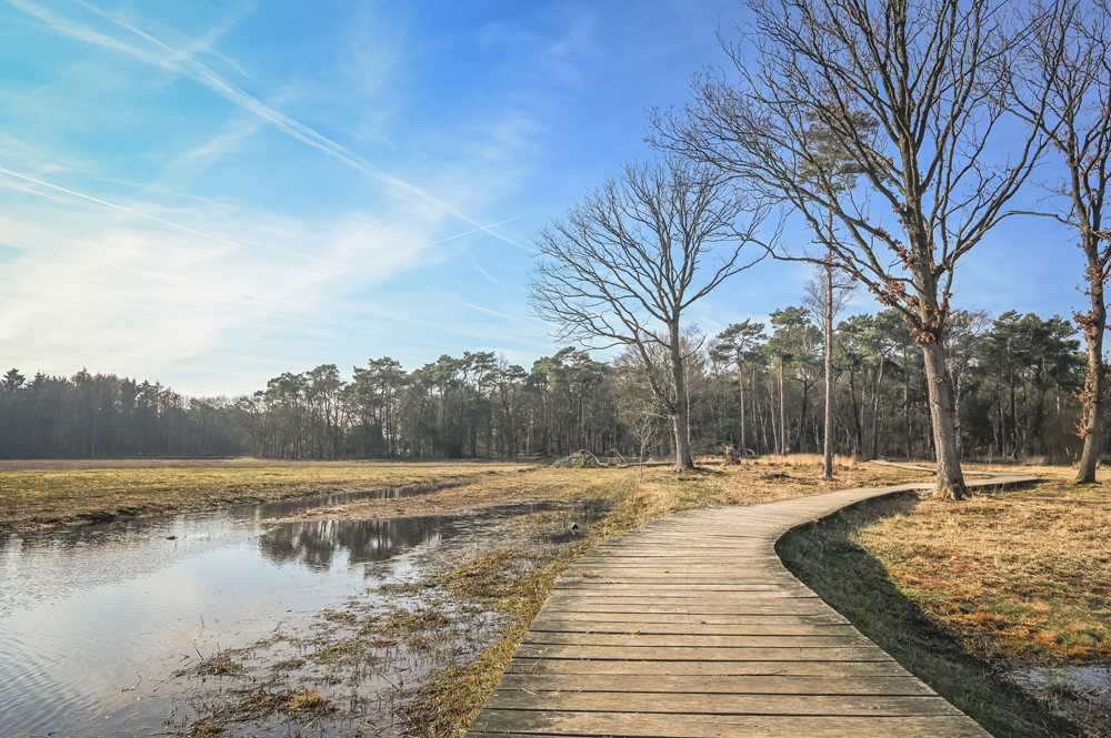 Landgoed Visdonk Roosendaal