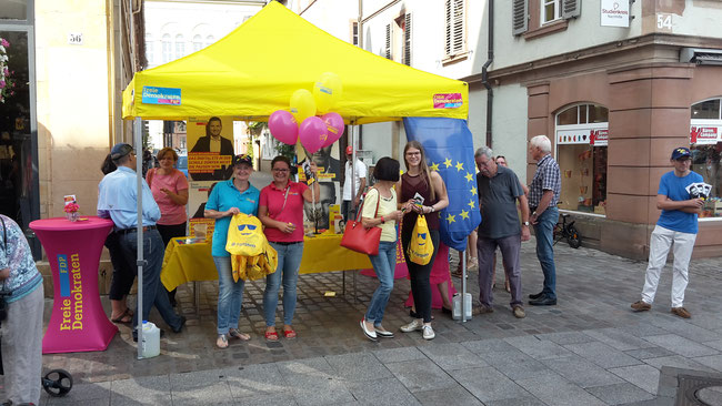 Infostand in Landau