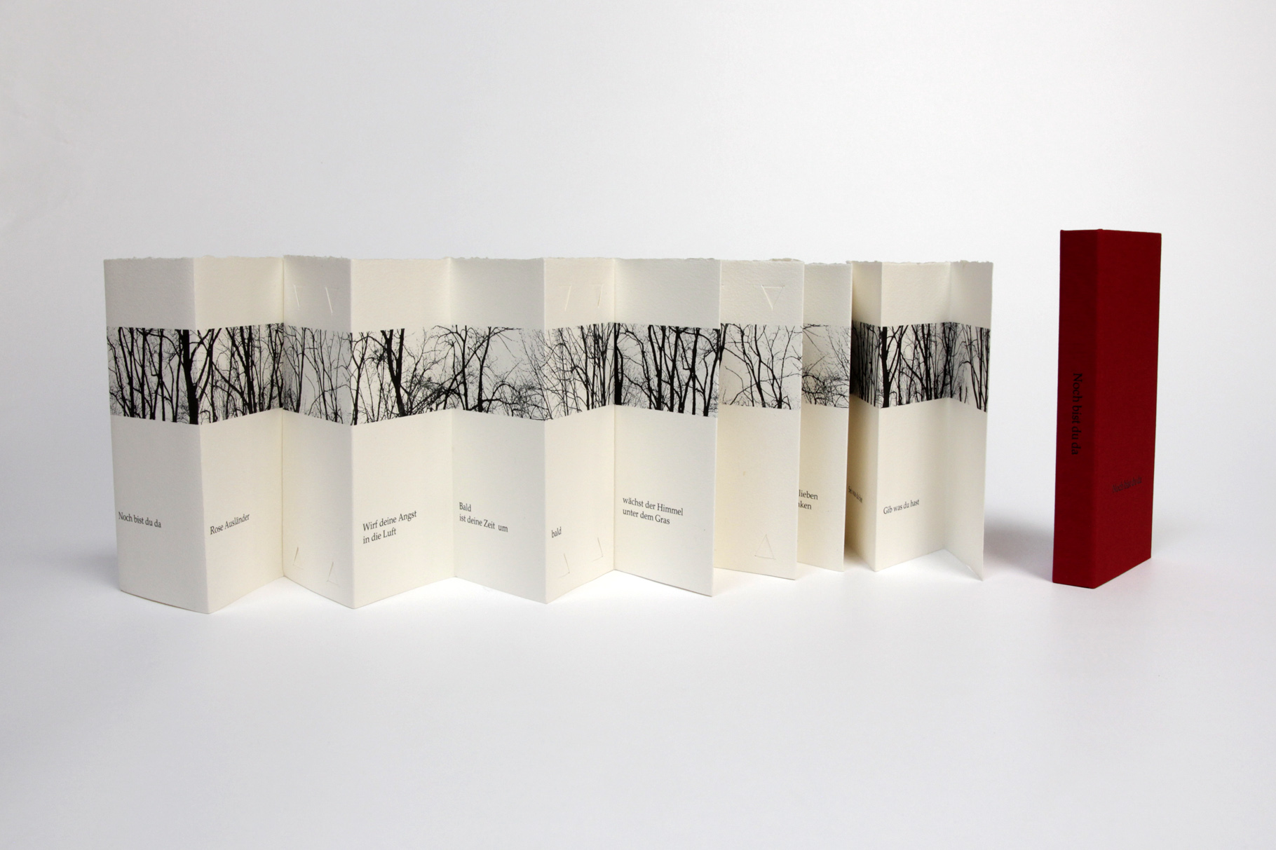 "Noch bist du da" (2010) - Ein Gedenkbuch von John Gerard mit einem Gedicht von Rose Ausländer