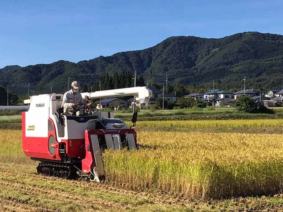 お米の収穫が始まりました