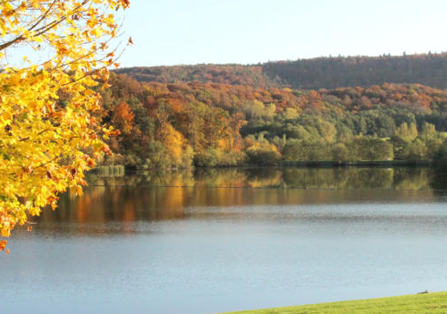 Abteilung Nordic Walking: Herbstwanderung 2024