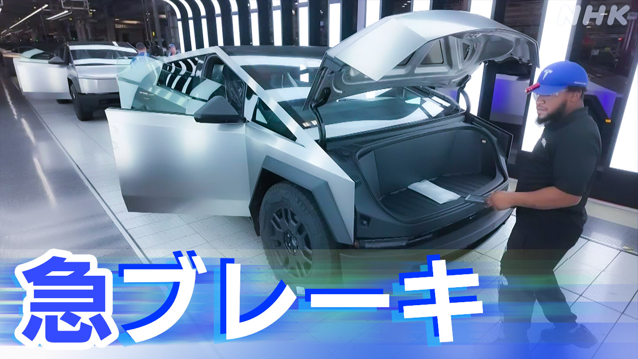 EV自動車の世界的需要鈍化なぜ？　どうなる