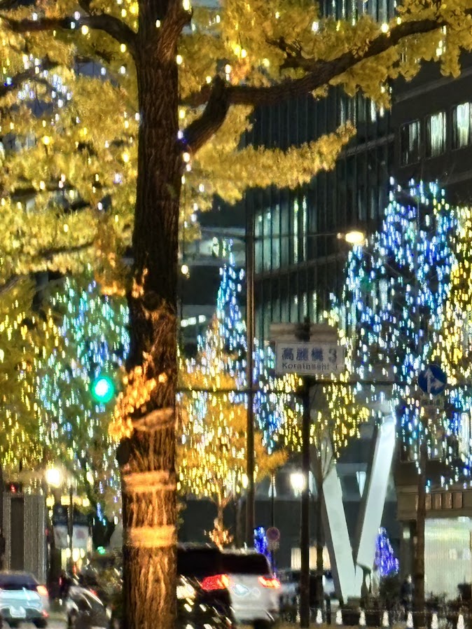 2025年12月 御堂筋イルミネーション
