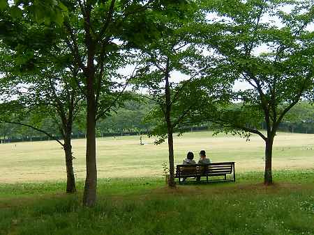 万博公園のベンチで語らい