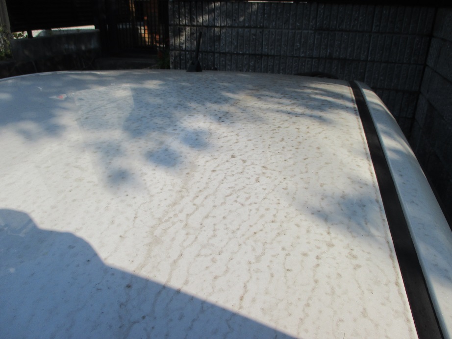 ②車の屋根や側面に付着し、水で洗い流しても簡単に取れません。スタンドで洗車依頼します。
