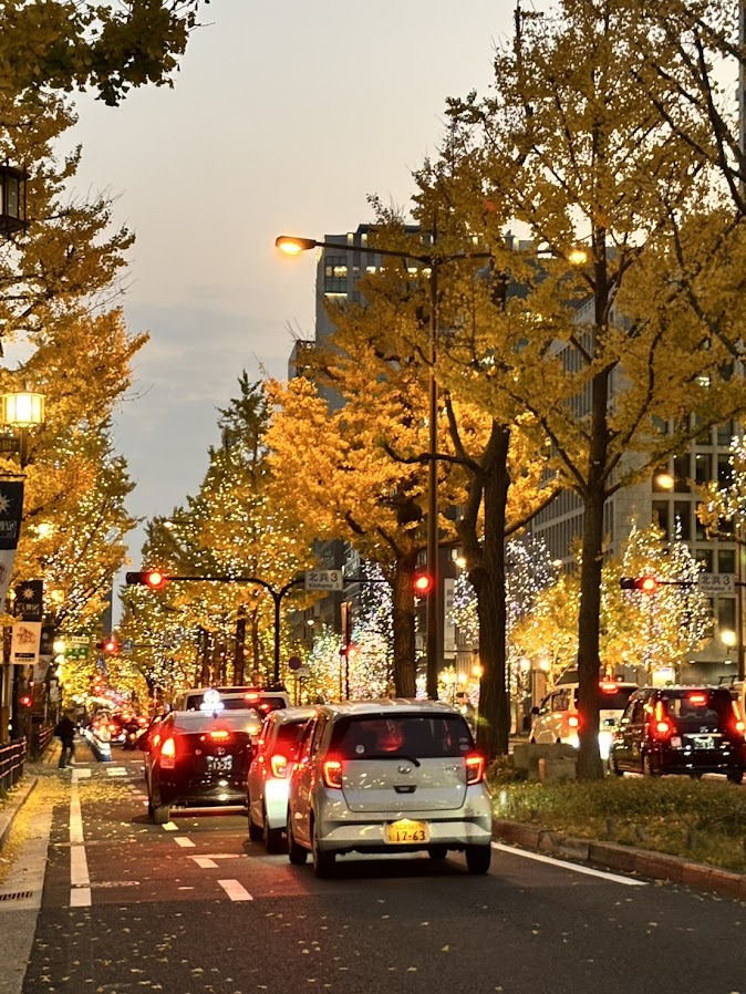 2025年12月 御堂筋イルミネーション