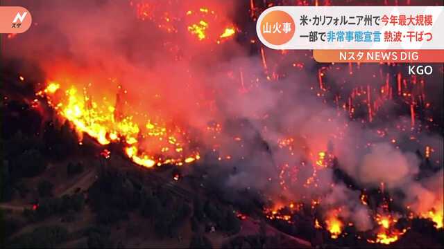 世界の異常気象　干ばつ・熱波による森林火災