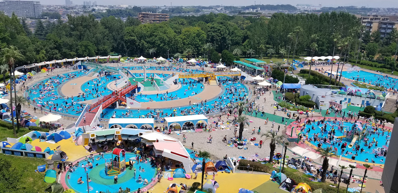 最後の泉ヶ丘プール　２　田園公園の木々50年　伐採