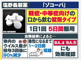 塩野義製薬のコロナ飲み薬「ゾコーバ」を緊急承認