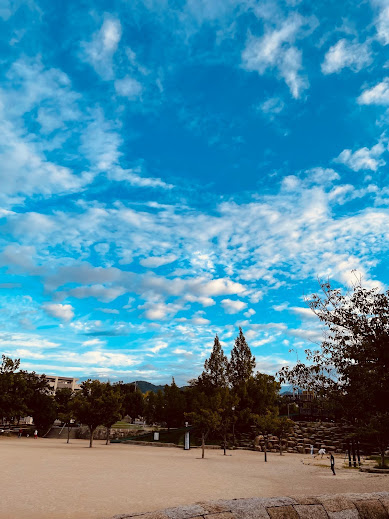 いわし雲、厳しい夏を乗り越え秋の訪れ