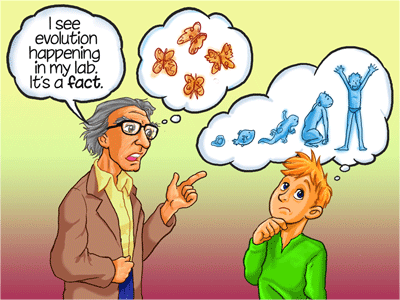 Is evolutie logisch?