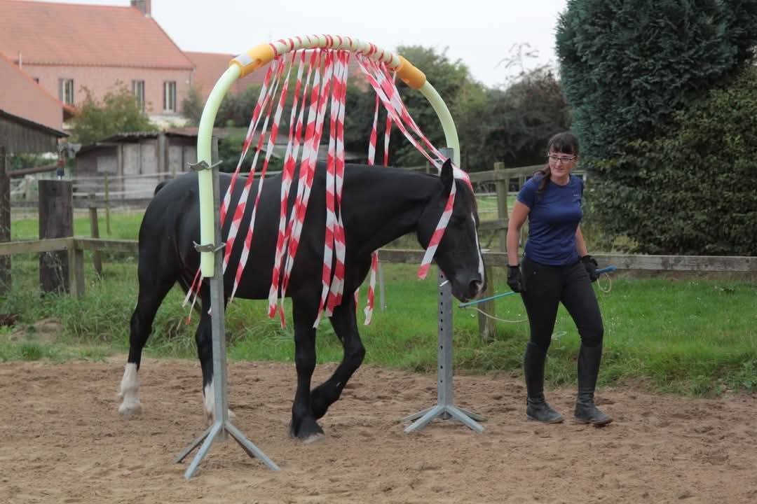 La bâche, dispositif Equifeel