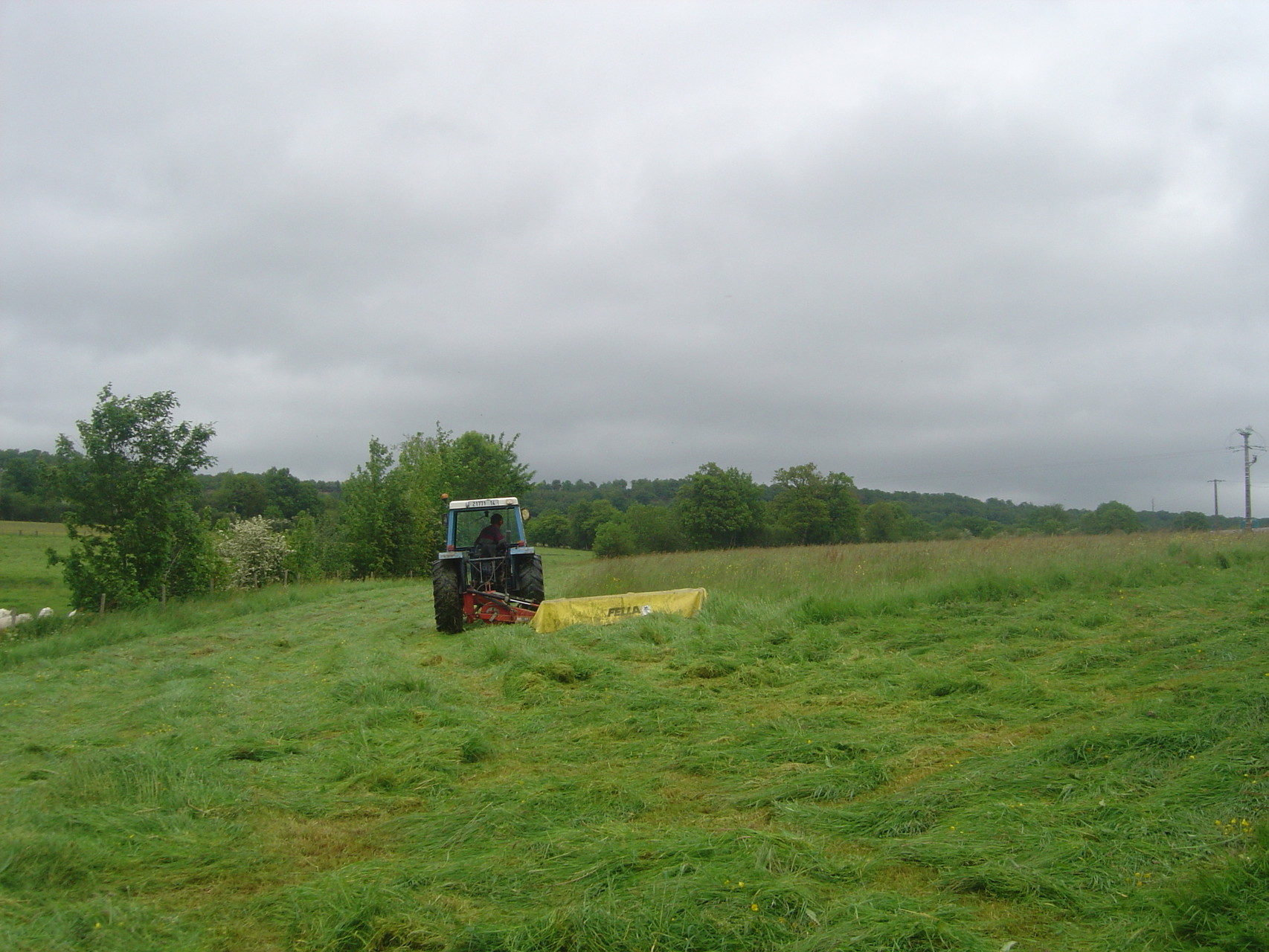Le fauchage de l'herbe pour récolter le foin