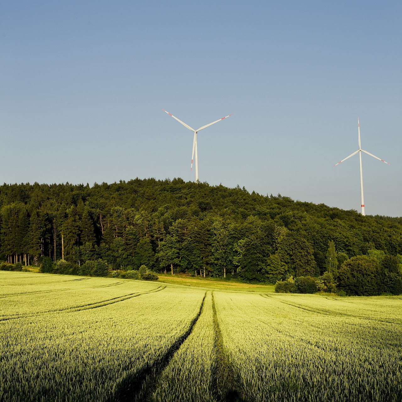 Windenergie - im Wald?