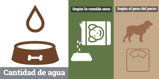 cuanta agua hay en el cuerpo de un perro