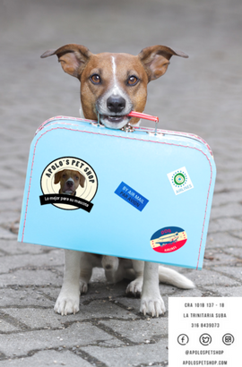 Lista de chequeo para viajar con mascotas. 