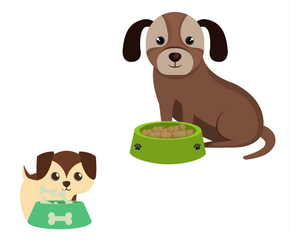 comida para perros razas grandes, comida para perros razas pequeñas