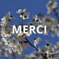 10 ans au service de vos écrits !