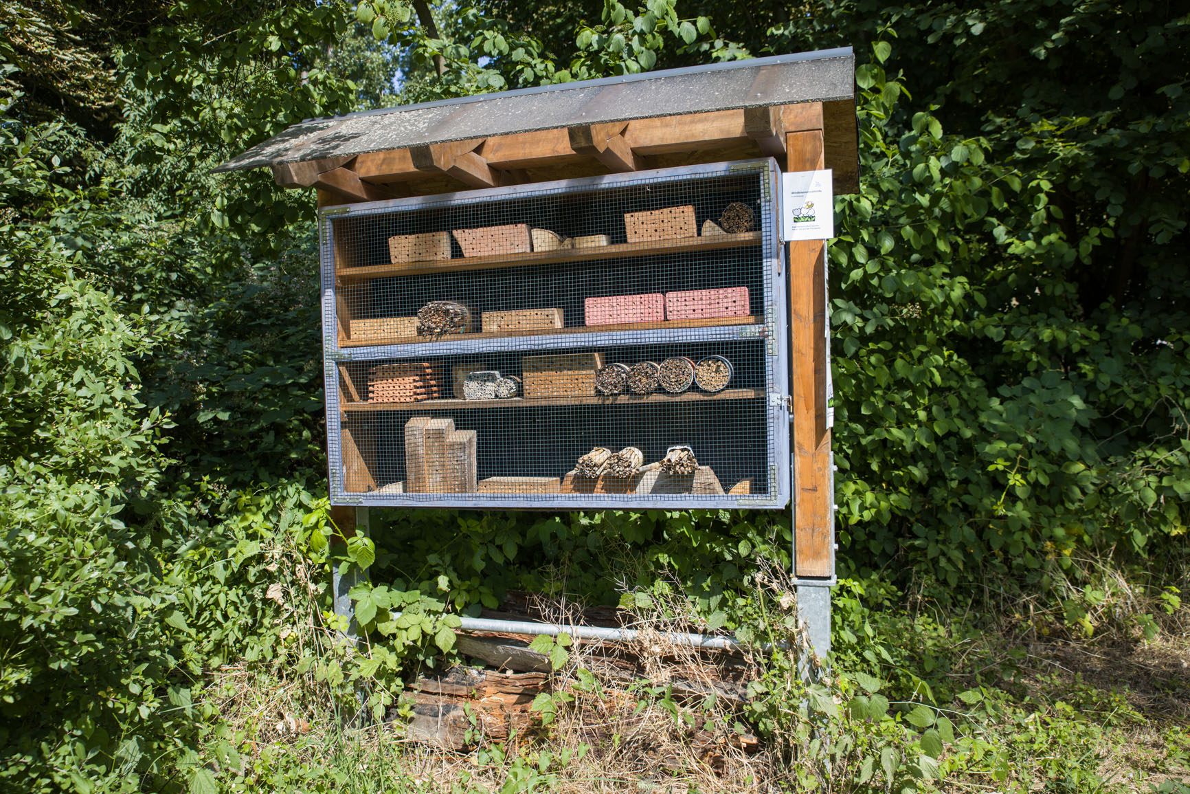 NABU-Naturgarten feiert 10-jähriges Bestehen