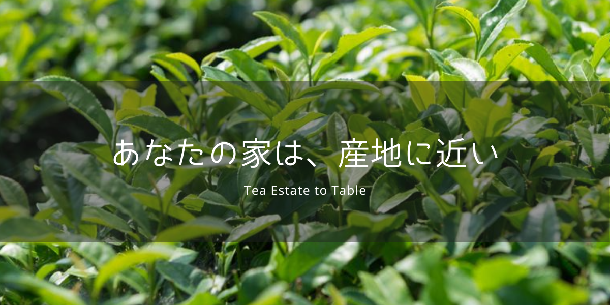 有限会社長野園